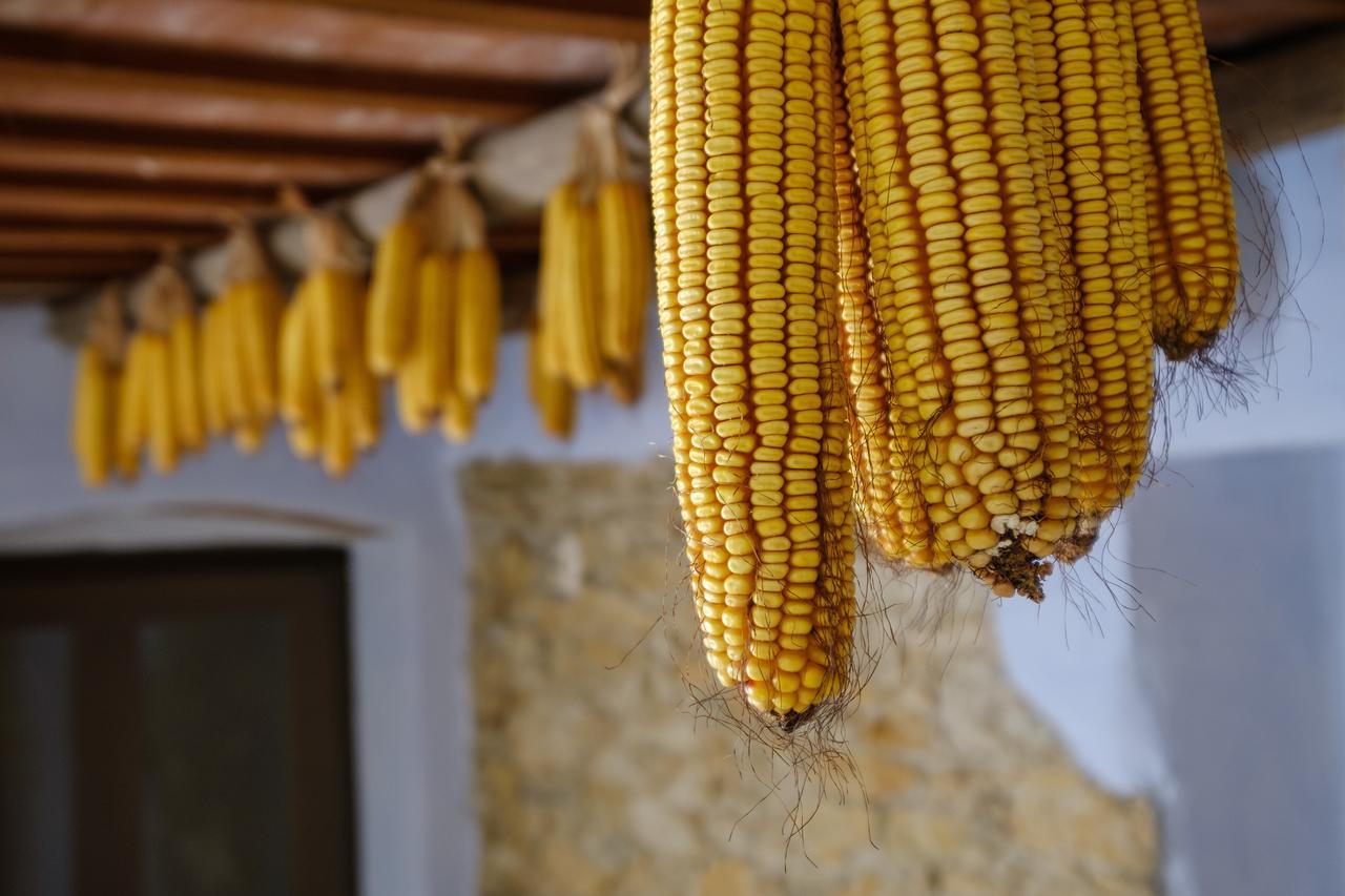 Els Masos D'en Coll Country house Llavia