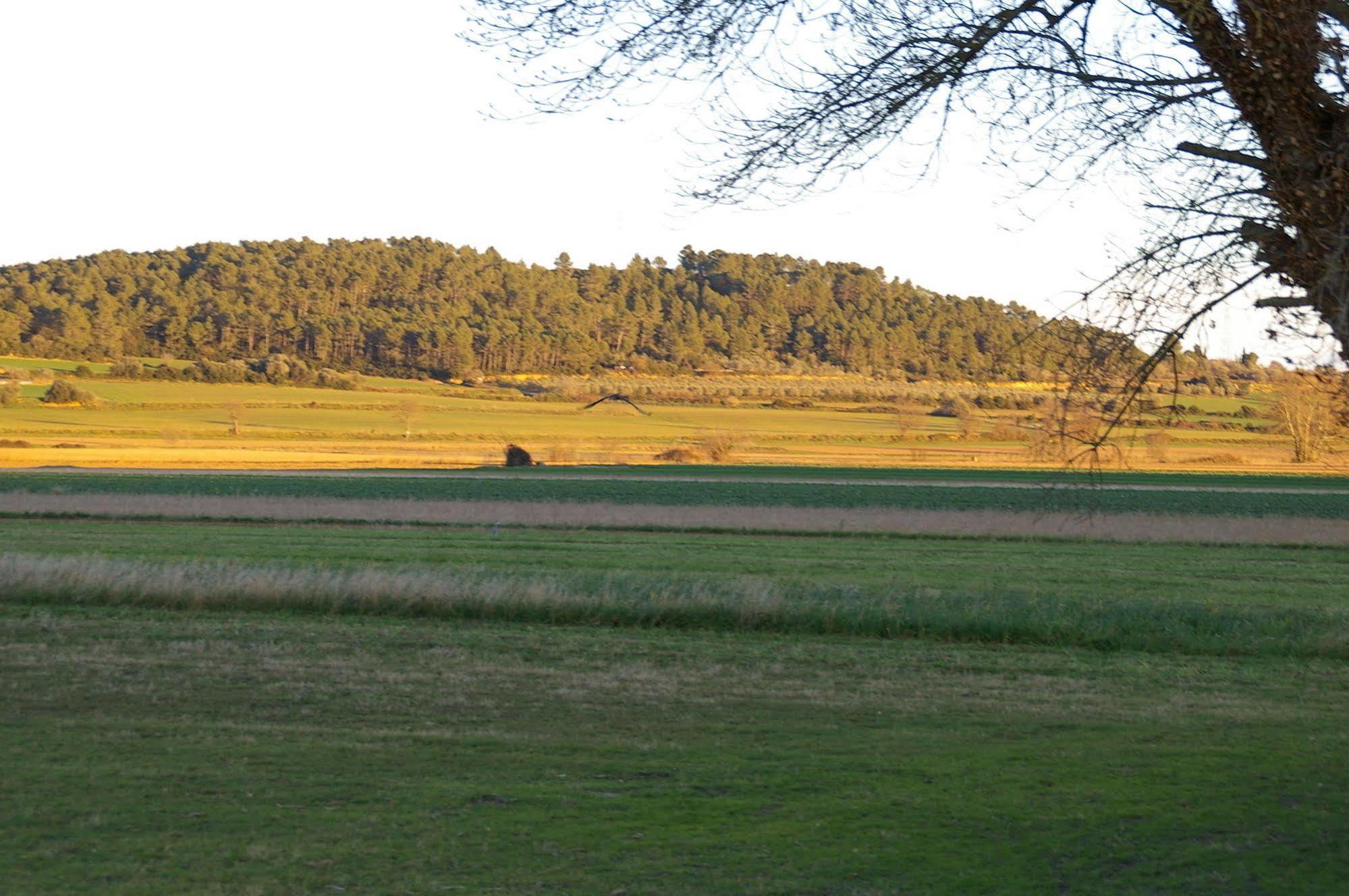 Country house Els Masos D'en Coll Llavia