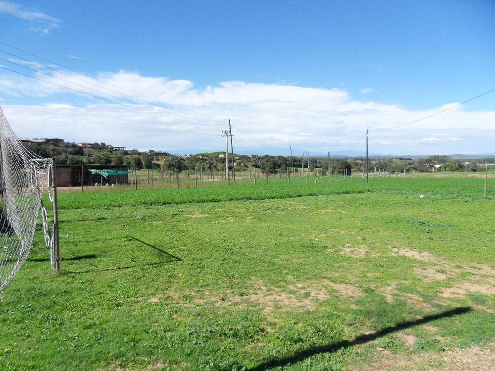 Els Masos D'en Coll Casa di campagna