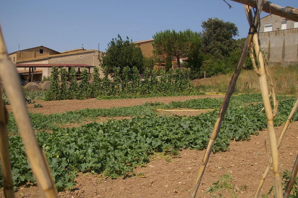 Els Masos D'en Coll Casa di campagna *